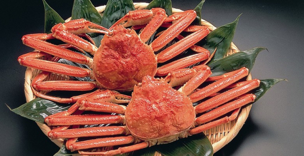 Cua Tuyết Hokkaido Ăn Mùa Nào Ngon Nhất? Giá Thực Tế, NHà Hàng Nổi Tiếng