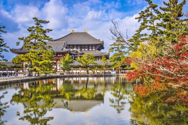 Nara Có Gì Chơi? Công Viên Hươu, Đền Todaiji Và Cách Kết Hợp Hoàn Hảo Trong Tuyến Kyoto–Nara–Osaka