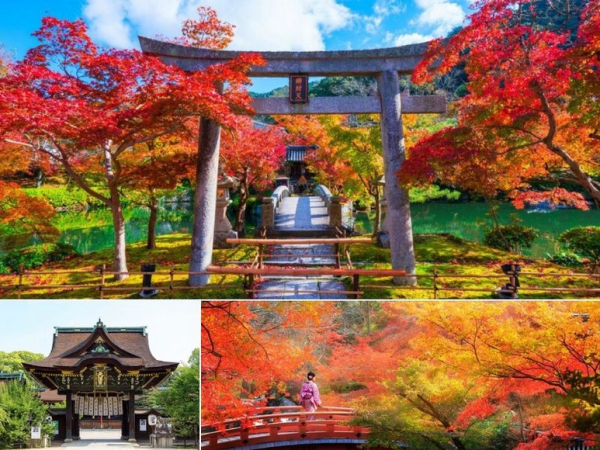 Kyoto mùa lá đỏ đẹp nhất ở đâu? Gợi ý điểm tham quan