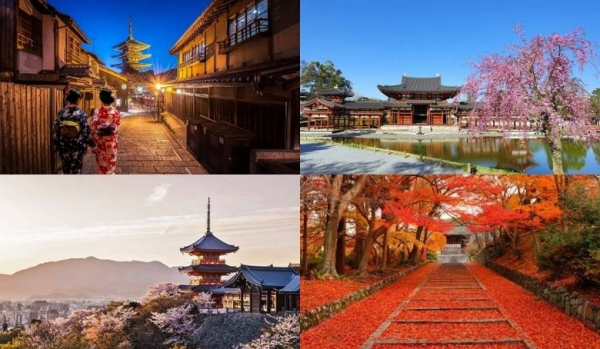 Kyoto có gì trong 1 ngày tour? Điểm nên ghé