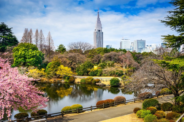 Vườn Shinjuku Gyoen có đáng ghé không? Mùa nào đẹp nhất?