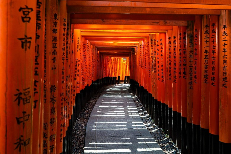 Hàng nghìn cổng torri đỏ ở đền Fushimi Inari