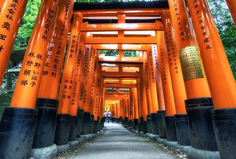 Hàng nghìn cổng torii đỏ nối nhau ở đền Fushimi Inari, Kyoto