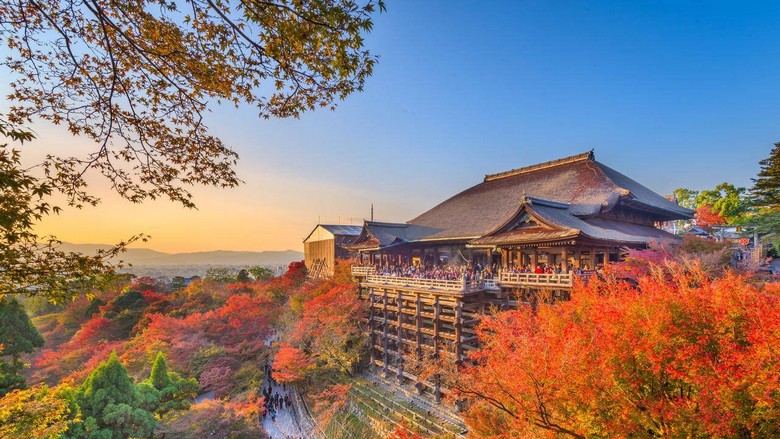 Hàng cây lá đỏ momiji trước ngôi đền cổ ở Kyoto