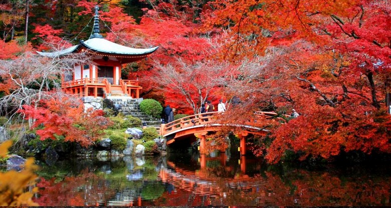 Rừng phong lá đỏ rực rỡ bên một ngôi chùa cổ ở Kyoto