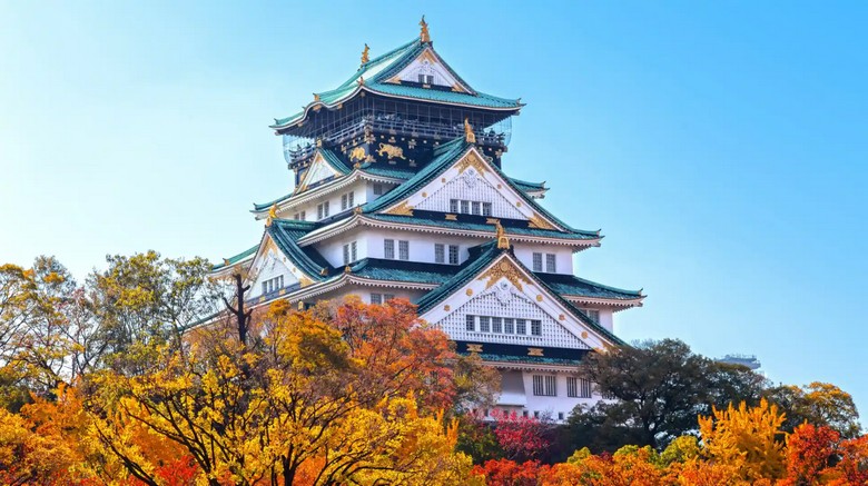 Lâu đài Osaka rực rỡ trong nắng