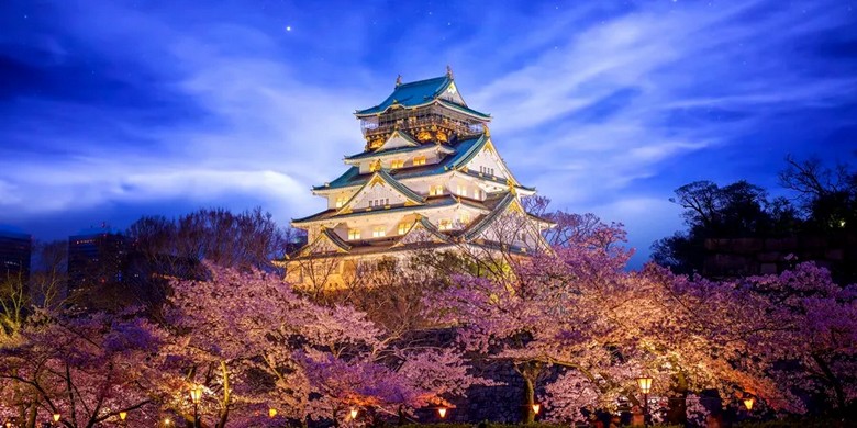 Lâu đài Osaka với hàng anh đào và bóng phản chiếu dưới hào nước