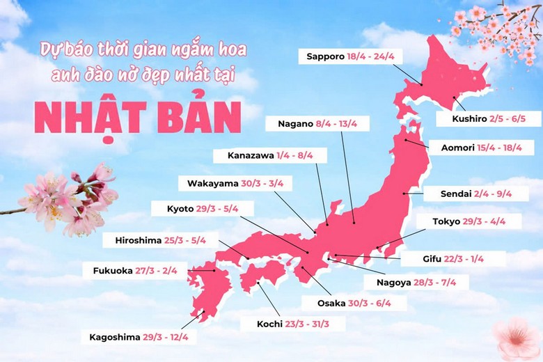 bản đồ minh họa thời điểm hoa anh đào nở