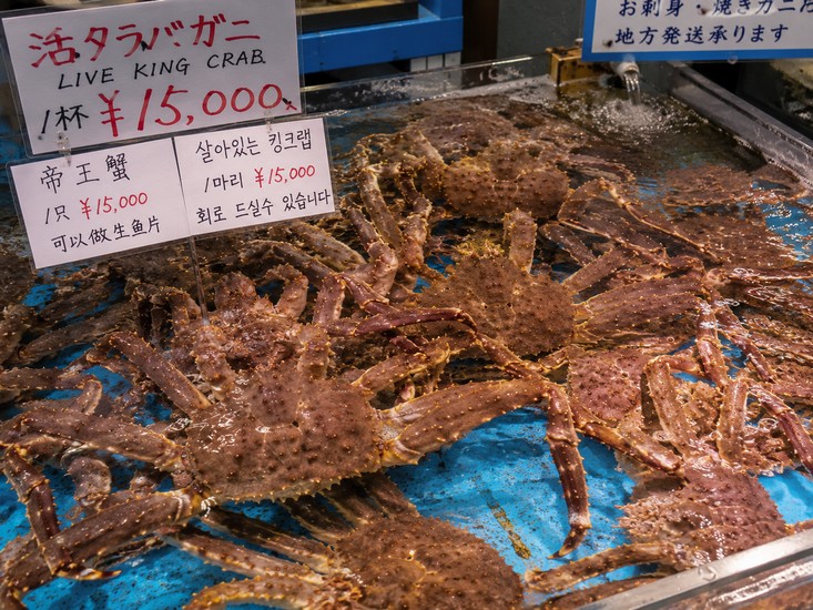 Bể cua King crab tươi sống tại chợ sáng Hakodate Asaichi
