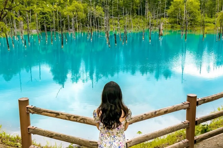 Hồ Ngọc Bích (Blue Pond) xanh lam huyền ảo ở Biei, Hokkaido