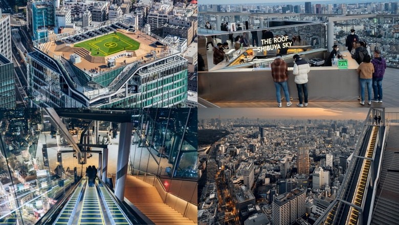 Ngã tư Shibuya nhìn từ đài quan sát Shibuya Sky lúc hoàng hôn
