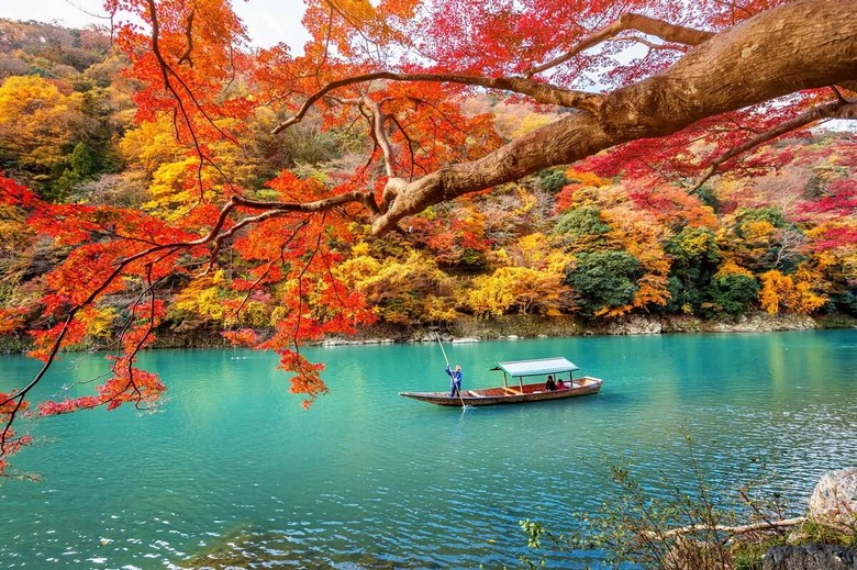 Lá đỏ momiji tháng 11 ở Kyoto