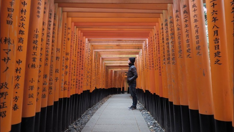 Du khách đi trong đường hầm cổng torii buổi sáng sớm