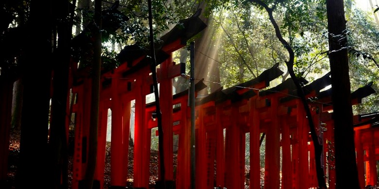 Khu Senbon Torii vắng người lúc sáng sớm