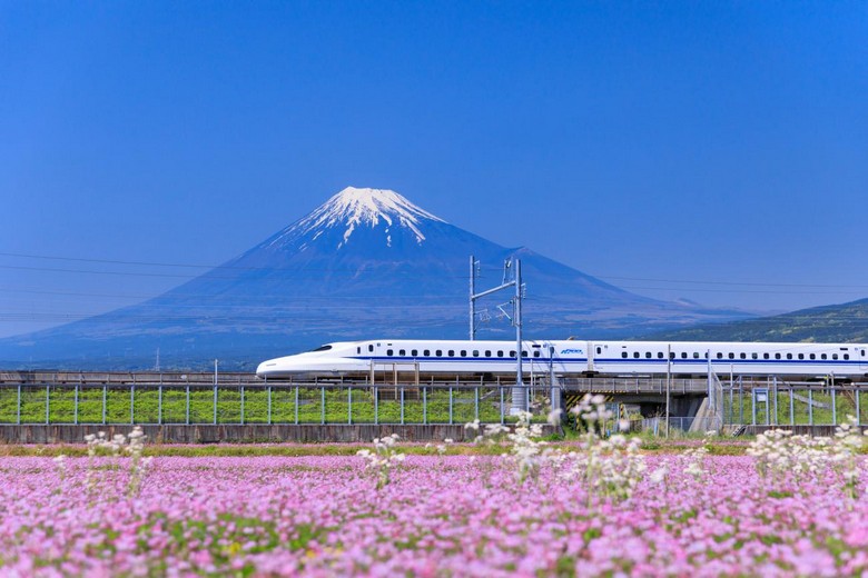 Tàu Shinkansen chạy qua chân núi Phú Sĩ nhìn từ xa — biểu tượng cung đường vàng Nhật Bản