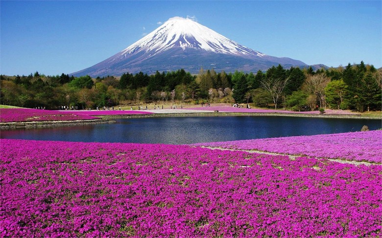Vườn đào ở Yamanashi với núi Phú Sĩ phía xa